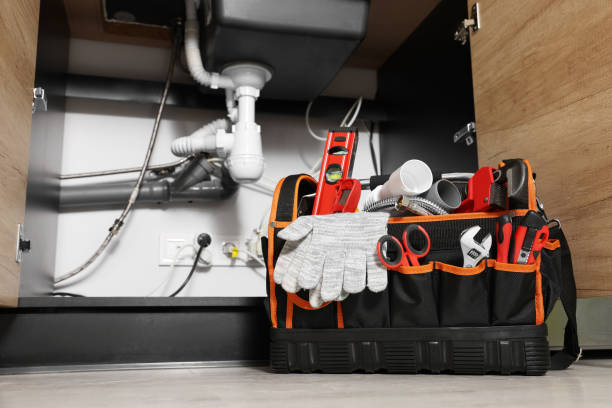 Best Same-Day Plumbing Service  in Saylorville, IA