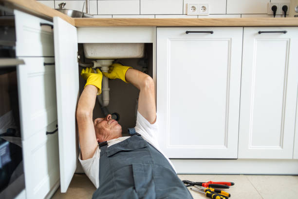 Best Clogged Drain Plumber  in Saylorville, IA